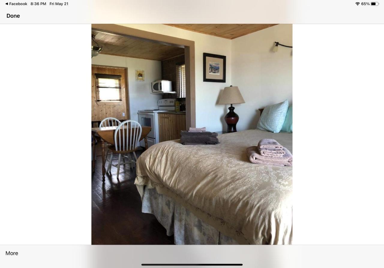Bird Island B&B Bed And Bubble Elliston Exteriör bild