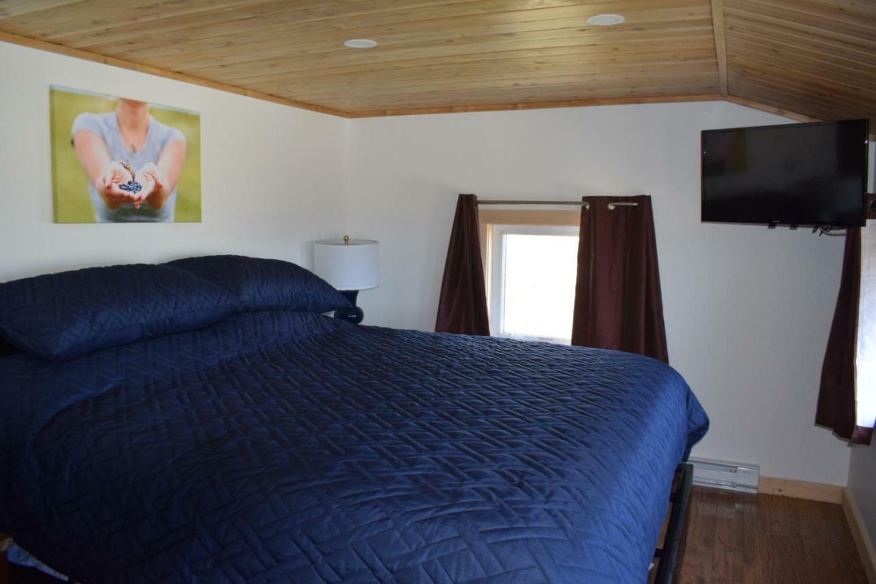 Bird Island B&B Bed And Bubble Elliston Exteriör bild